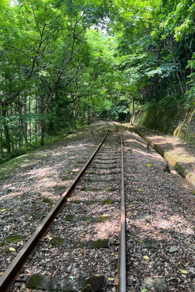森の中と線路
