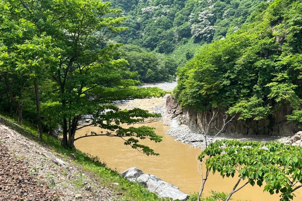 渓谷コースから見える川の景色