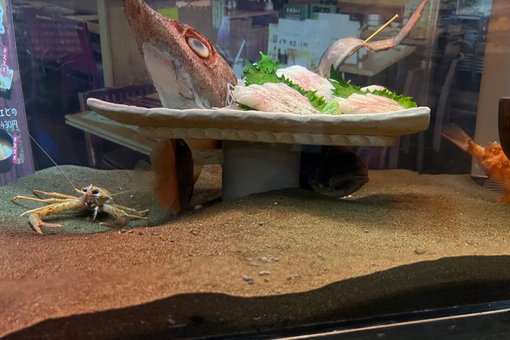 水槽の中にある刺身の食品サンプルと魚とエビ